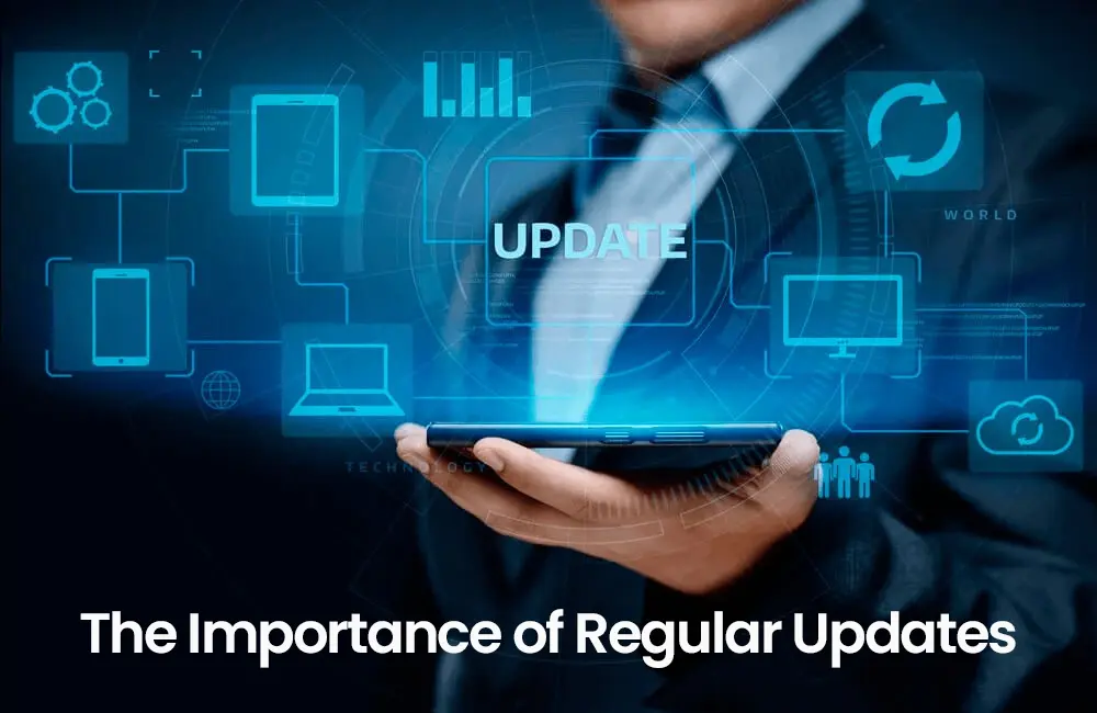 The Importance of Regular Updates​
