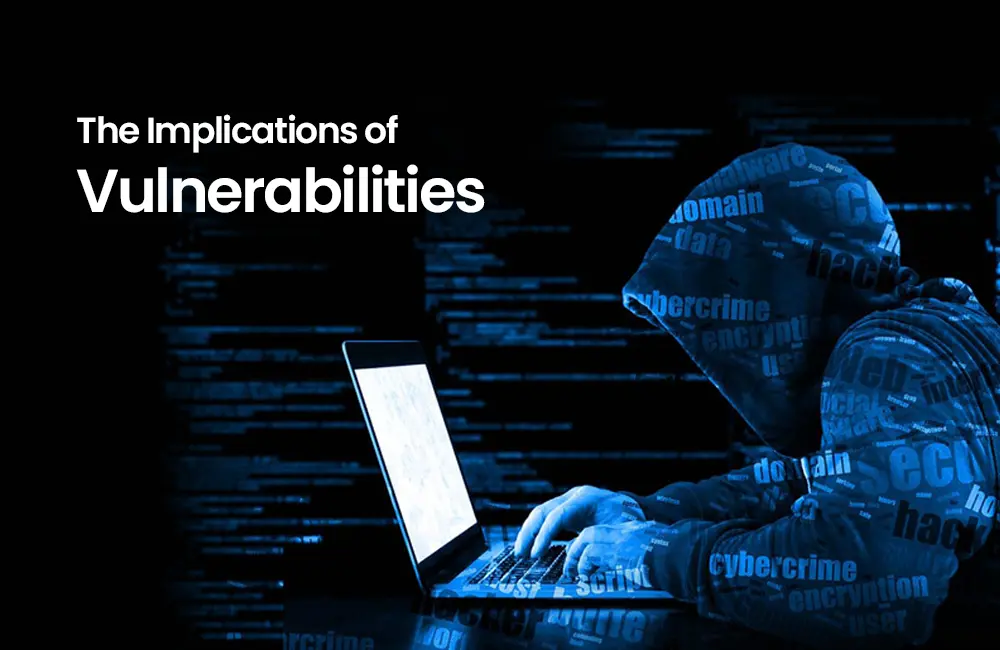 The Implications of Vulnerabilities