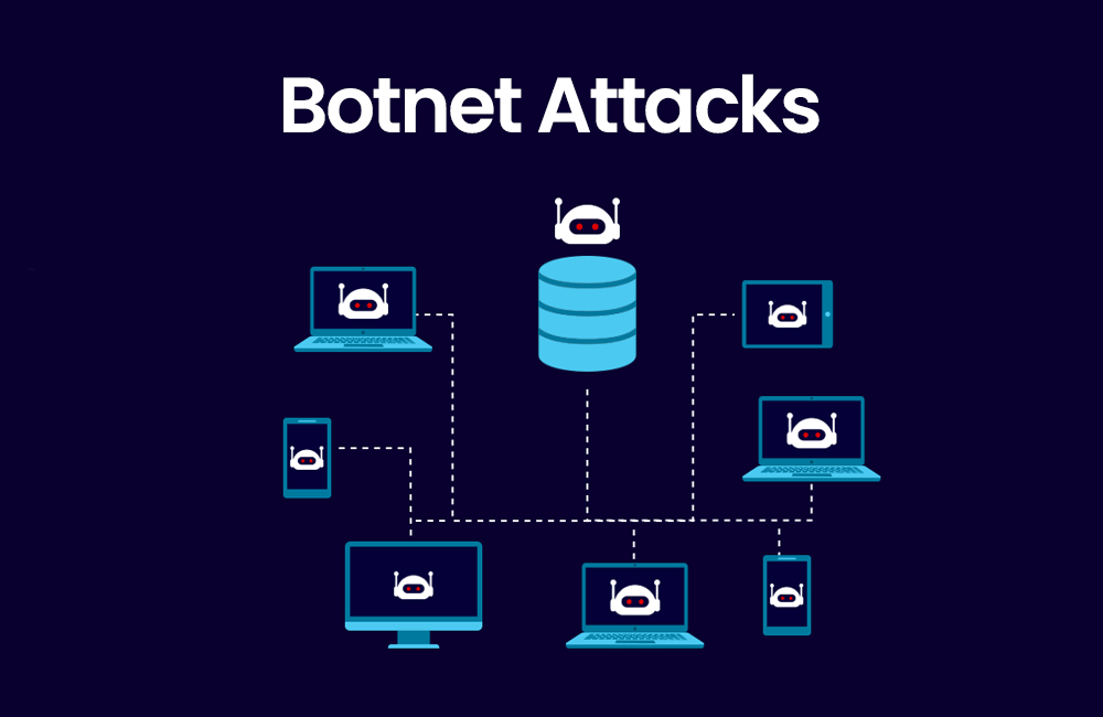 Botnet Attacks​