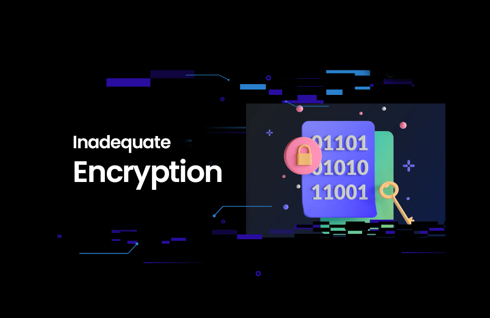 Inadequate Encryption​