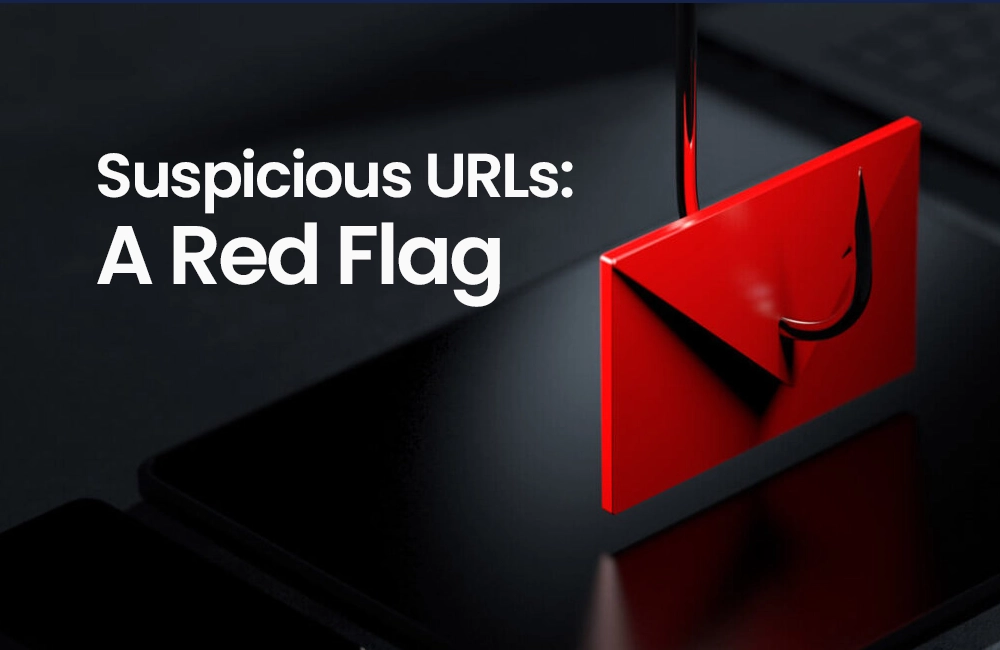 Suspicious URLs: A Red Flag​